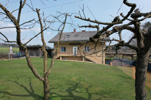 Perbersdorf bei Sankt Peter-10