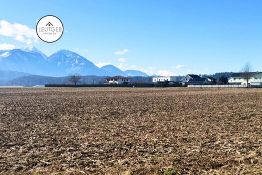 240iW4frWsU9lpyzrOKcuT