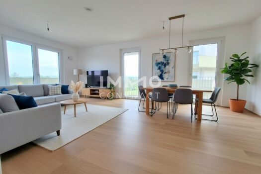 Visualisierung_Einrichtung