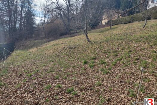 25yW2pUtUkLkZX6r86bLWk