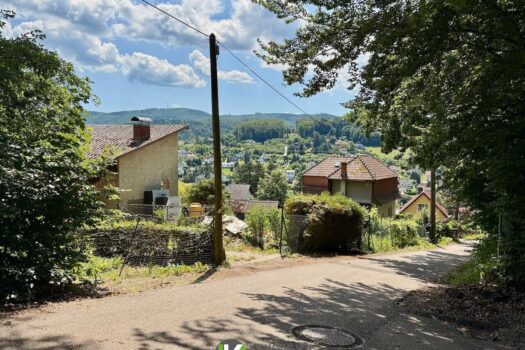 Zufahrt mit Aussicht