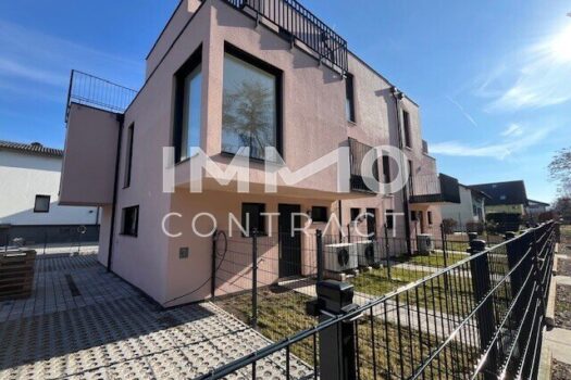 26KdVDhdoofNLkXXkNUhsp