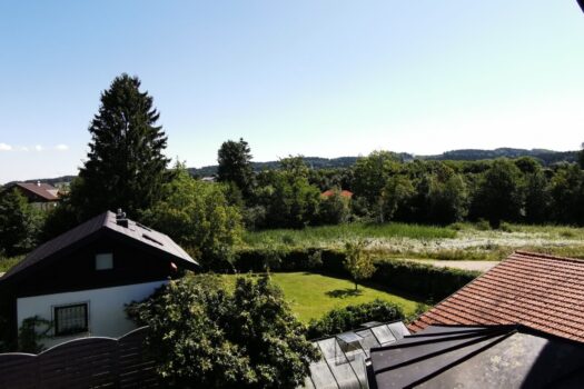 26bQYOcM5ODqGGGV5dap8X