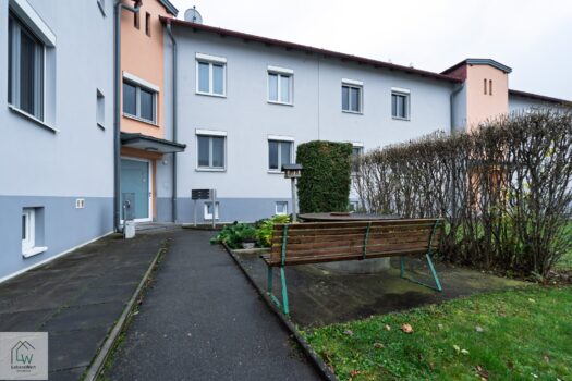 27N3uaemCEdGL6eUZjtrfR