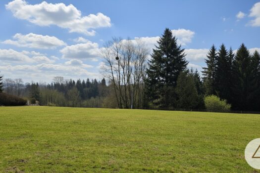 298OyTEFpwUIasyM7vTplU