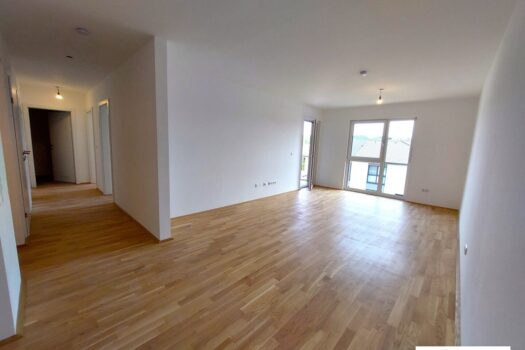 29dWcspfwMmdKRKqbstwvW