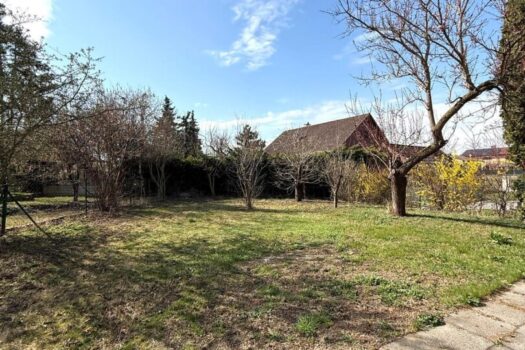 29vtrjt1muull1VzTMOvrM