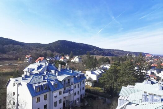 2DPifCUDWRSkcMjwdBFjuh