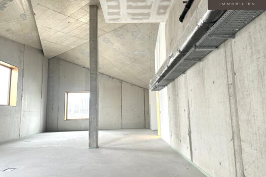 | INDUSTRIE STYLE | FABRIK 1230 | Büro-/Ordination-/Gewerbe-/Lager-/Veranstaltungsflächen 2FlSTQEdf9Sivyus9NQfwm