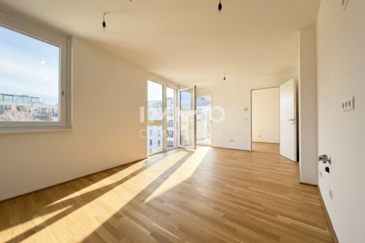 2GFVStmQXekdx6kOac7qaD