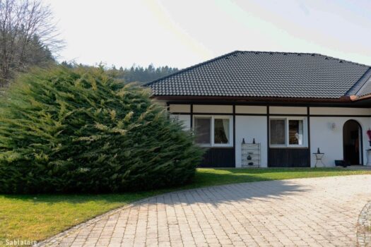 2GepLuruvTMoSgE2lkjdw6