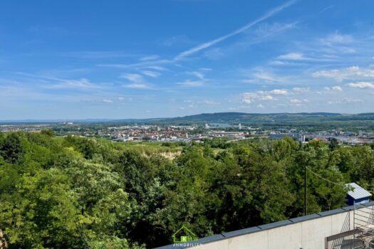 2HHQediCpJynMLJ2g4QrsJ