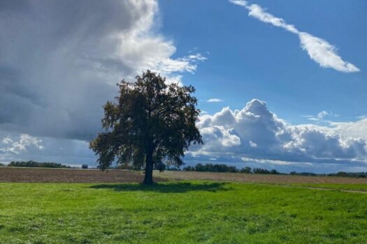 2MGBfXh9hWnVG3MRz8OvO9