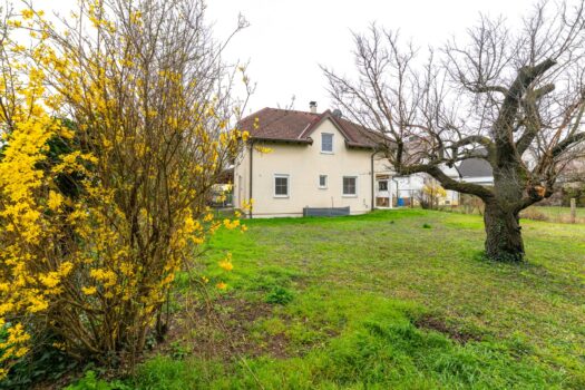 2QE1lVpIW7t1GcBNuYtRGQ