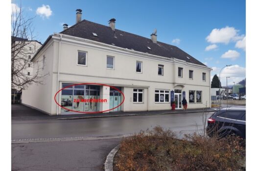 2VAA0zWrNne8aVE0ombirZ