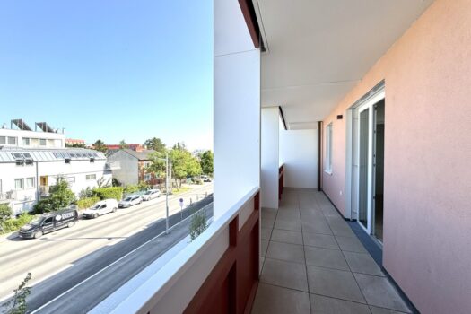 2YGTzfGOHhBx5Njj1ahjsY