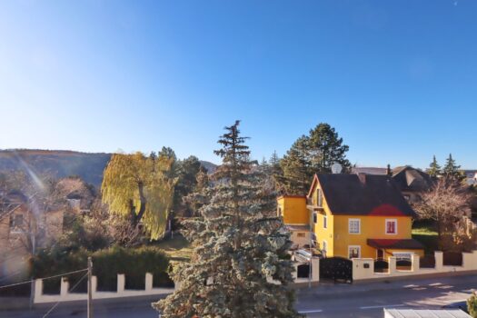 2bAaH2OLKx5XS5FH3ShpkK