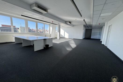 2gXfjFd7eqtX7pIrJqEXZs