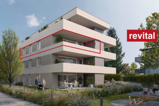 2hO5KjmODalPLpKN0FZqyK