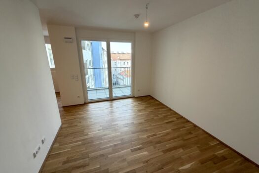 2l7kDddiuG6WSfCk92pE3X