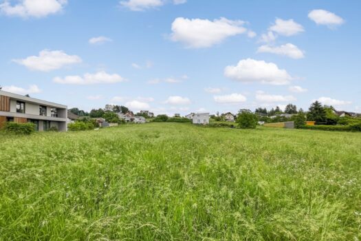 2vKJVq5Z5daQWXuTOiNhoi