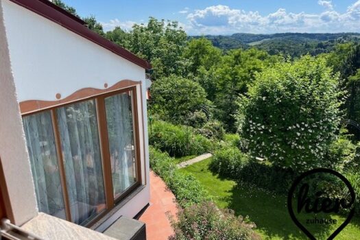 32iyWz6ladJeSdSMSbIauK