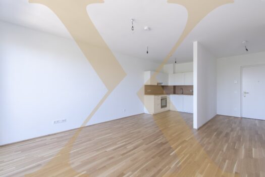 Beispielfoto Wohn-Essbereich