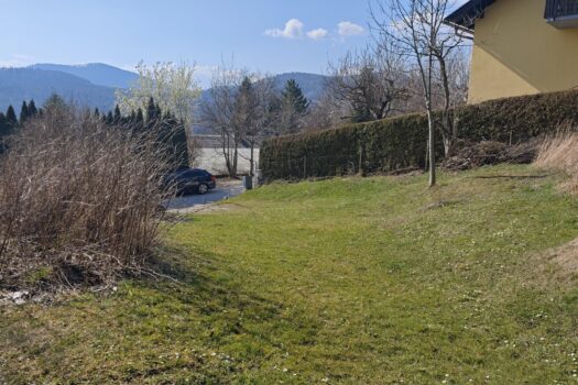 37CnIU9JOM2S6noo0RGbPj