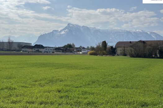 37wem4E1QblNfwYGmibNTn