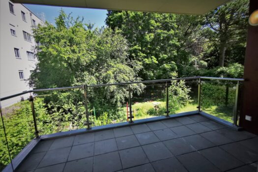 391ofbFFkCCcjN5uRYXv2c