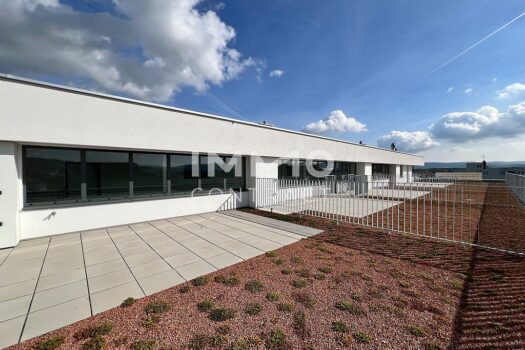 234C20DF-1806-4A9B-8F18-92C725A36C7C_1_105_c Kopie