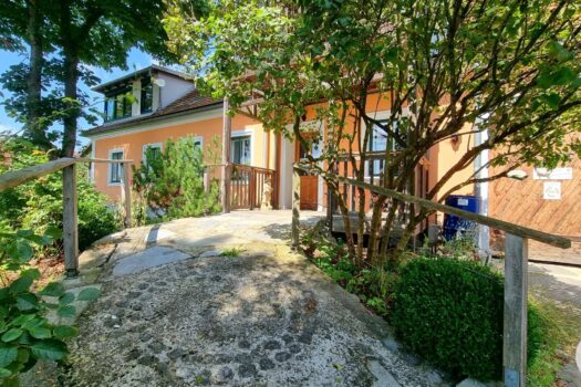 3CnFxGMIfXbEVapNicJNE3 1