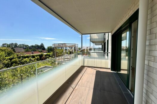 3Fr80vIo6a2HpZaHCekuLz