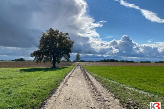 3I7gXubh3lWE7pX6MNpGPe