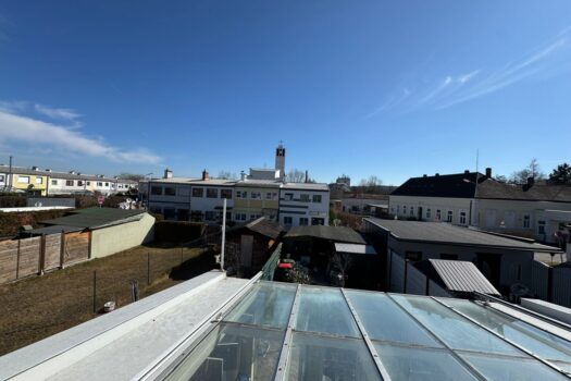 3NFEJQ2q6xGaysCMnJqBXc