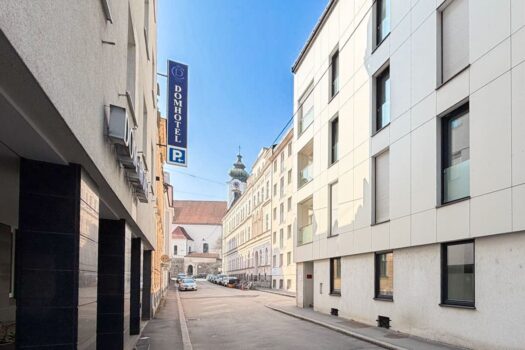 3NXg4upGzapmhS0drT6ecG