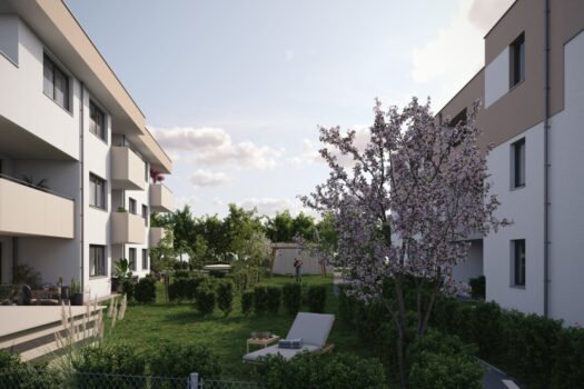 3OkW5CqObIZCeyVeheTdmd