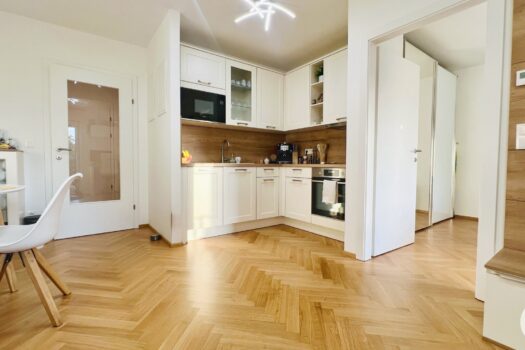 3RSVU16WFMgpCa9L1BtW2T