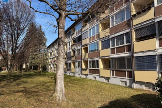 3TqPN87Wlku1g461lsk8XS