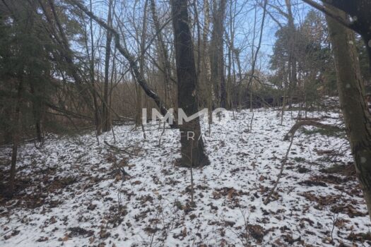 3YTX5D94SiXxzP400VaUrR