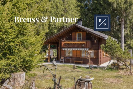 3alrvVFwEIPX5HrGq1HFE6