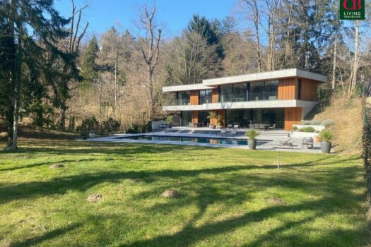 3b1Ar22fFWz9hCbY2CQmAY