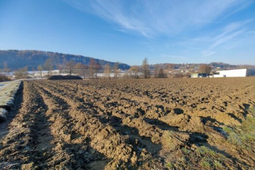 3d0EfBZd3XGthn6c2i1zwI