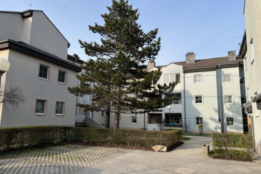 3fLBFN4xtsdTTK0L4cMor9