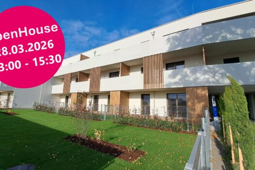 3qBcQGL2nmhftOirjXfBMq