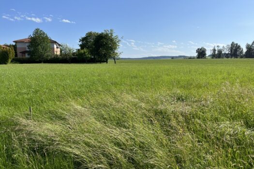 3vCYftubxyrmTtwZF7T4PI