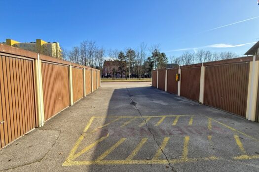 3zjzPeLRa07G1e9hILYGRQ