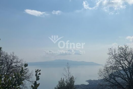 40yi3hCoIW6jsNIUd0cWRX