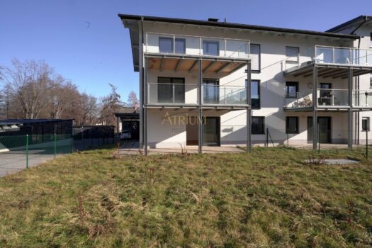 427WJMTkORdbT4r1tuQCYo