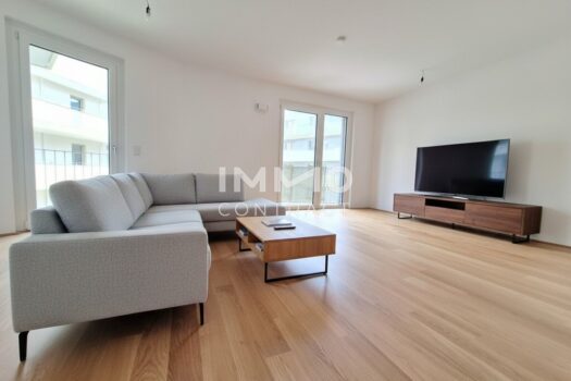 Visualisierung_Einrichtung